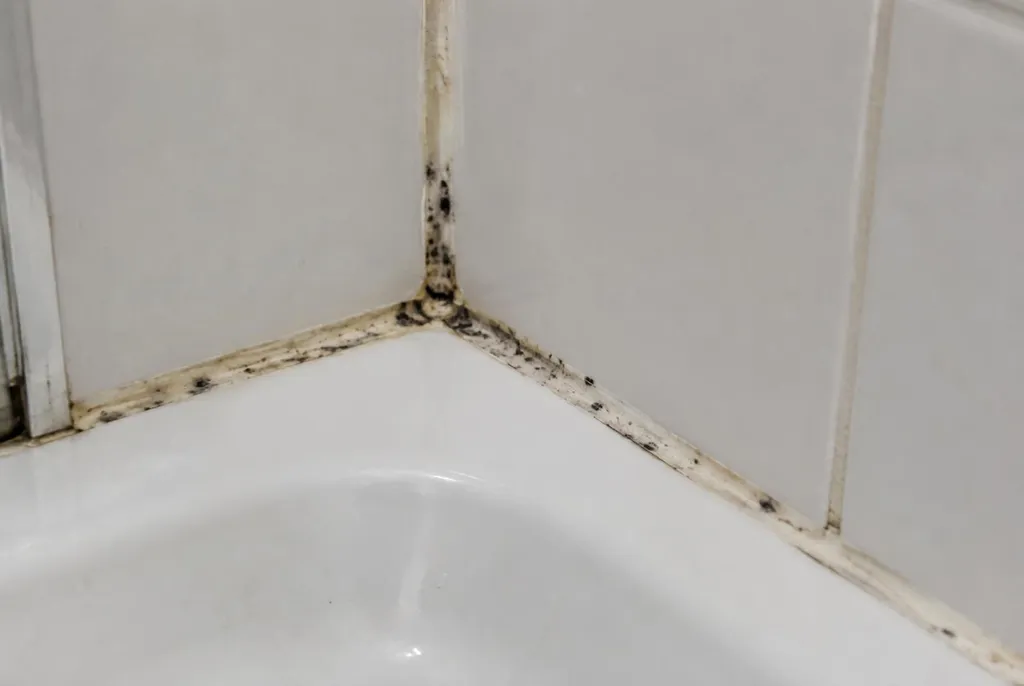 Kitbedrijf Epe – beschimmelde kitranden